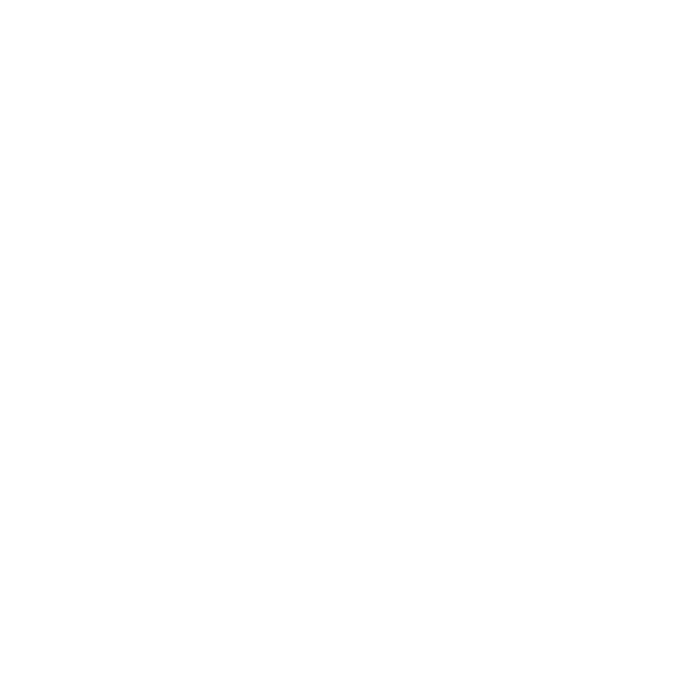 101Racing